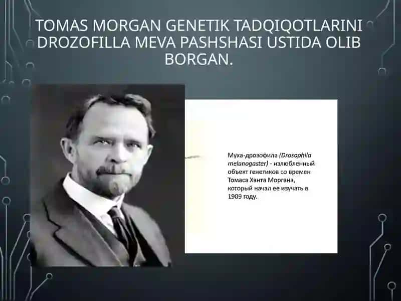 BELGILARNING JINSGA BOG‘LIQ HOLDA IRSIYLANISHIDARS TAQDIMOTI 2