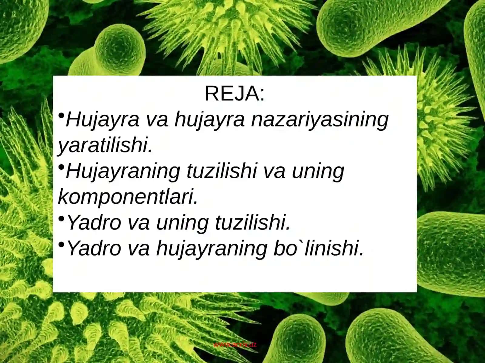 Xujayranazariyasi 2