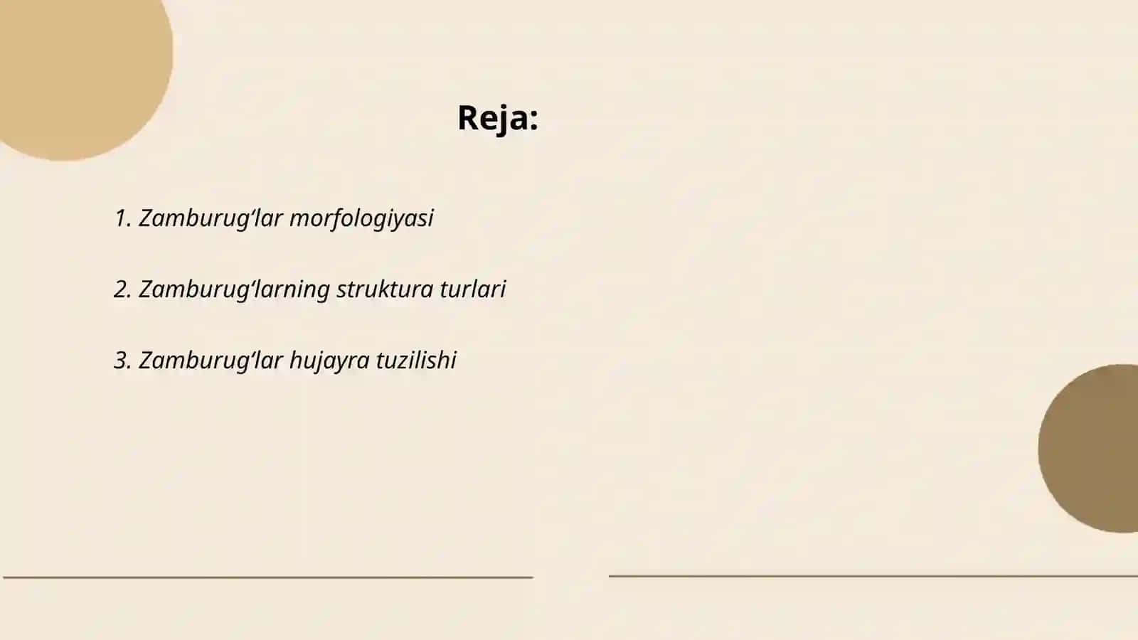 Zamburugʻlar morfologiyasi 2