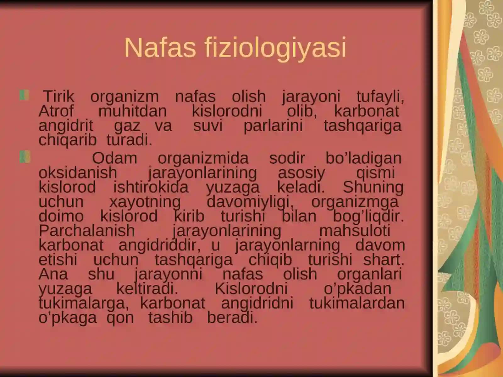 nafas fizologiyasi 2