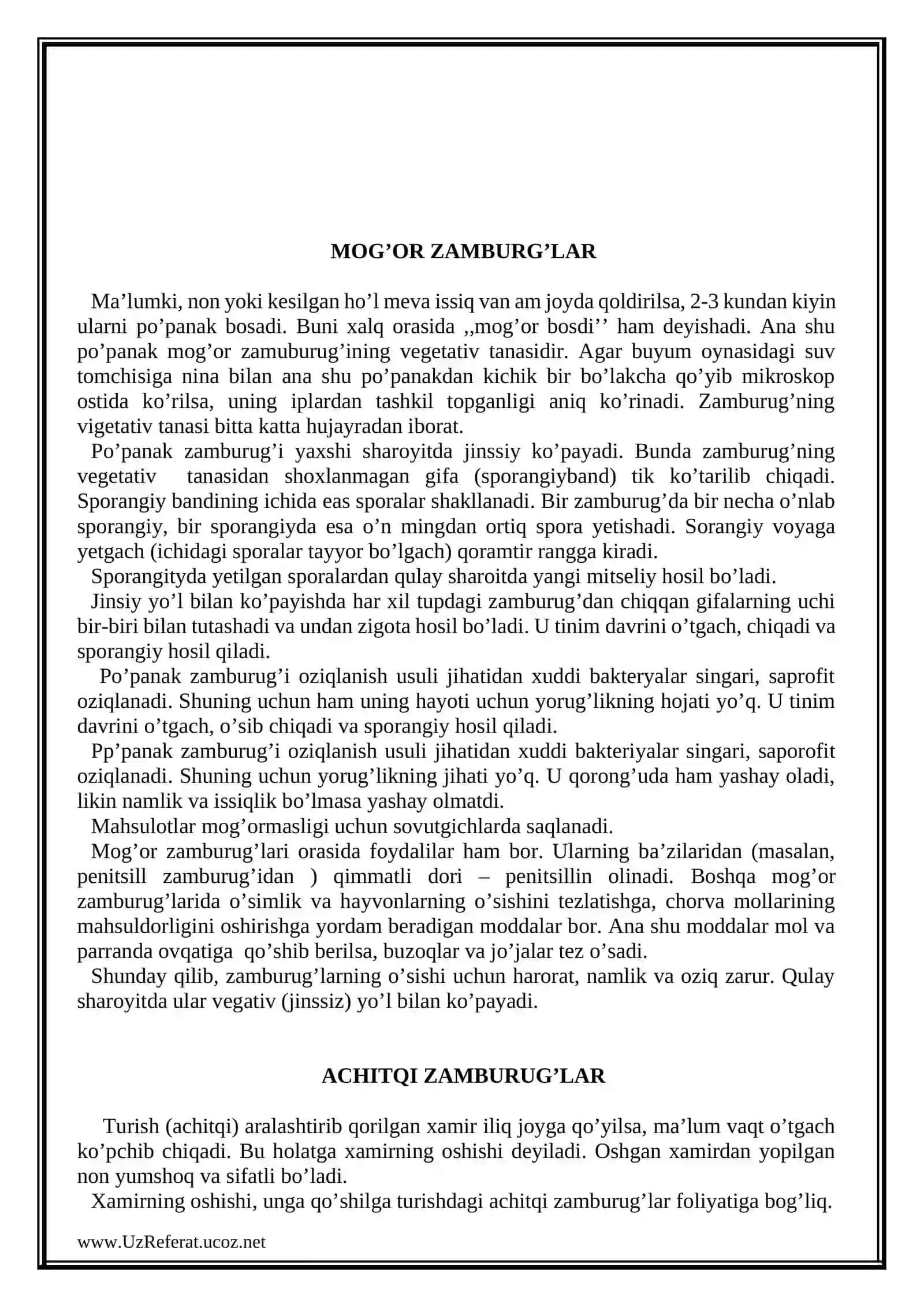 ZAMBURG’LAR 2