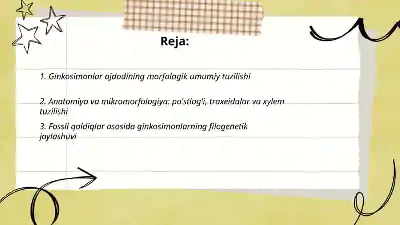 Ginkosimonlar ajdodining umumiy tuzilishi, klassifikatsiyasi ilmiy va amaliy ahamiyati 2
