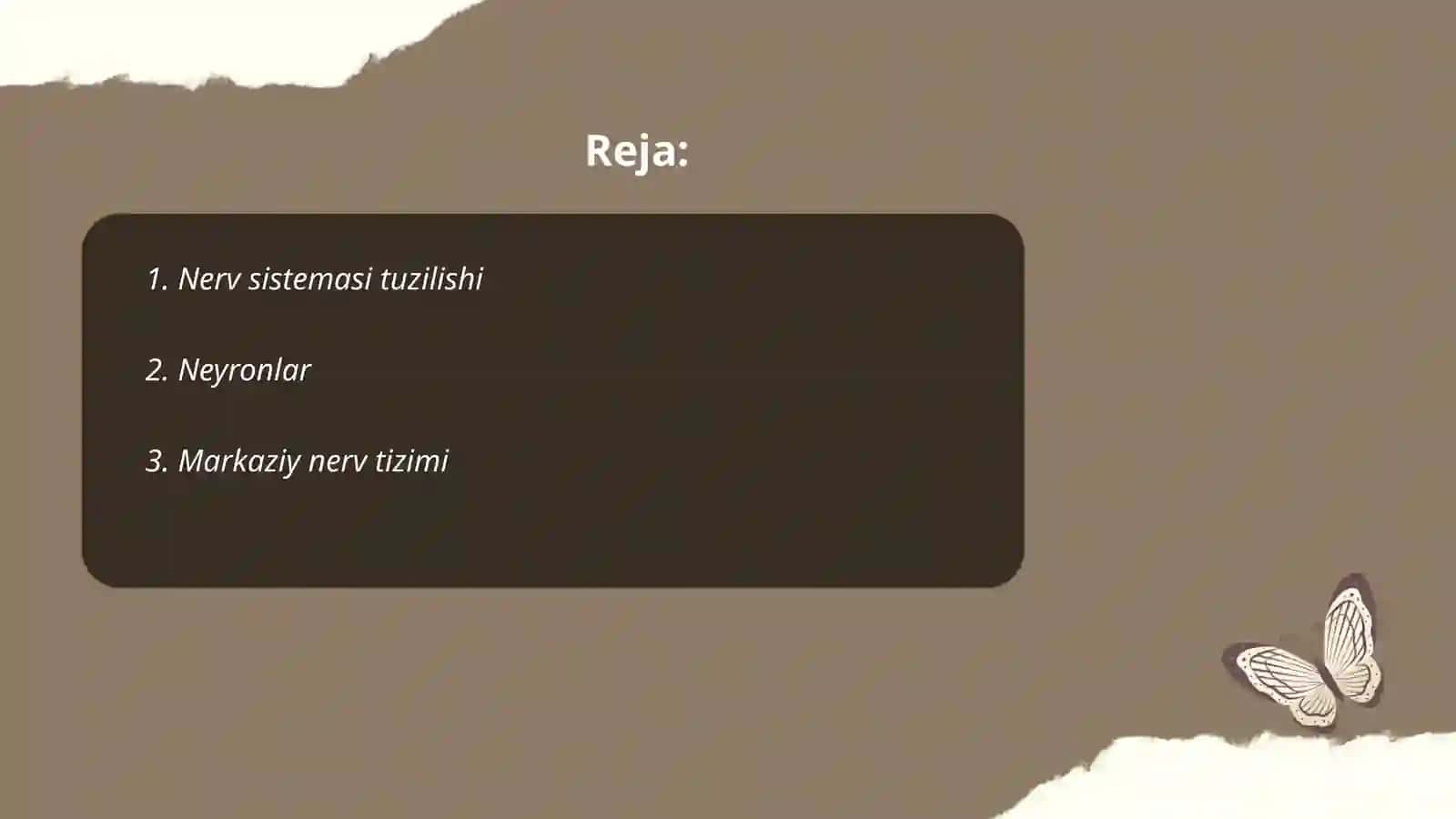 Nerv sistemasi tuzilishi 2