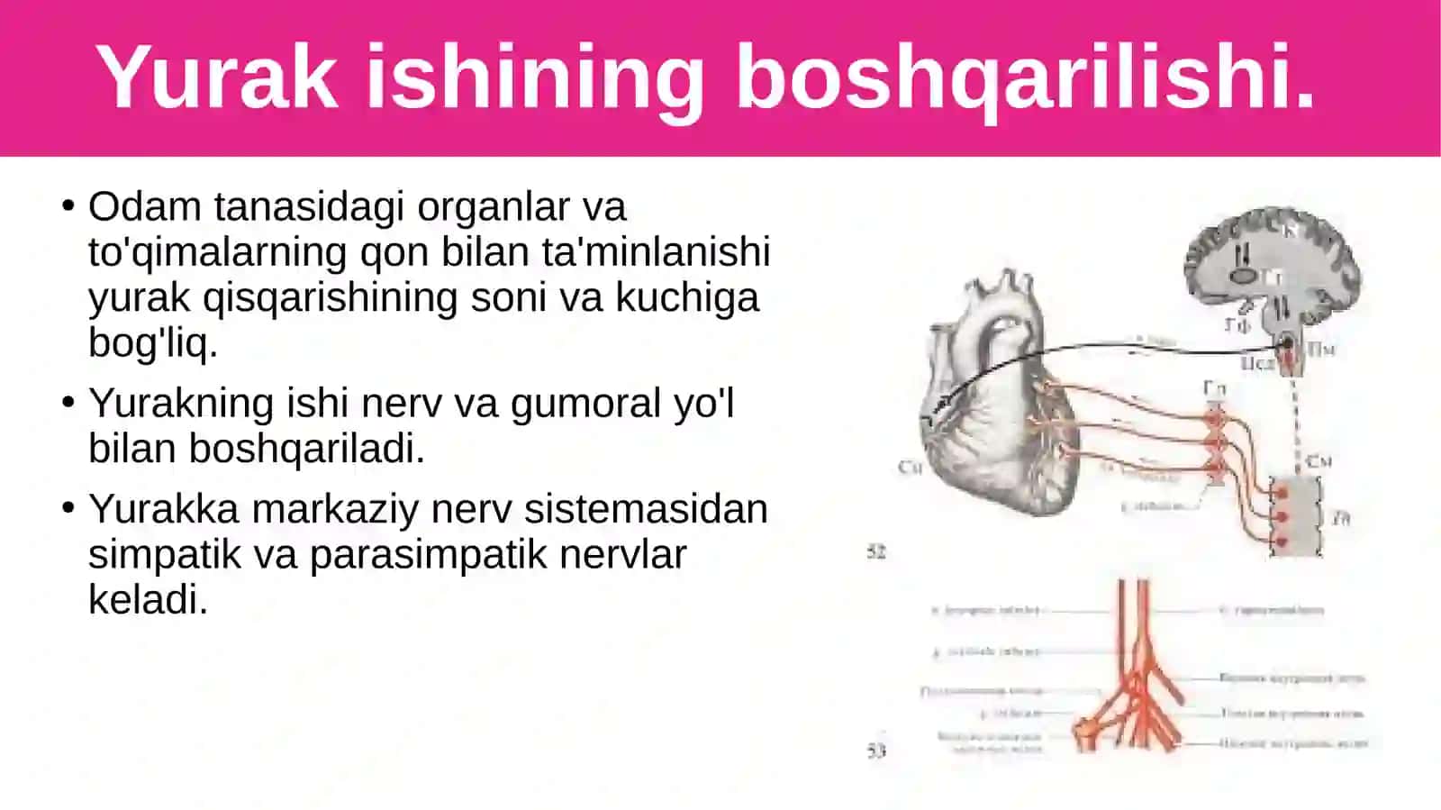 Qonaylanish Organlari Ishini Boshqarilishi 2