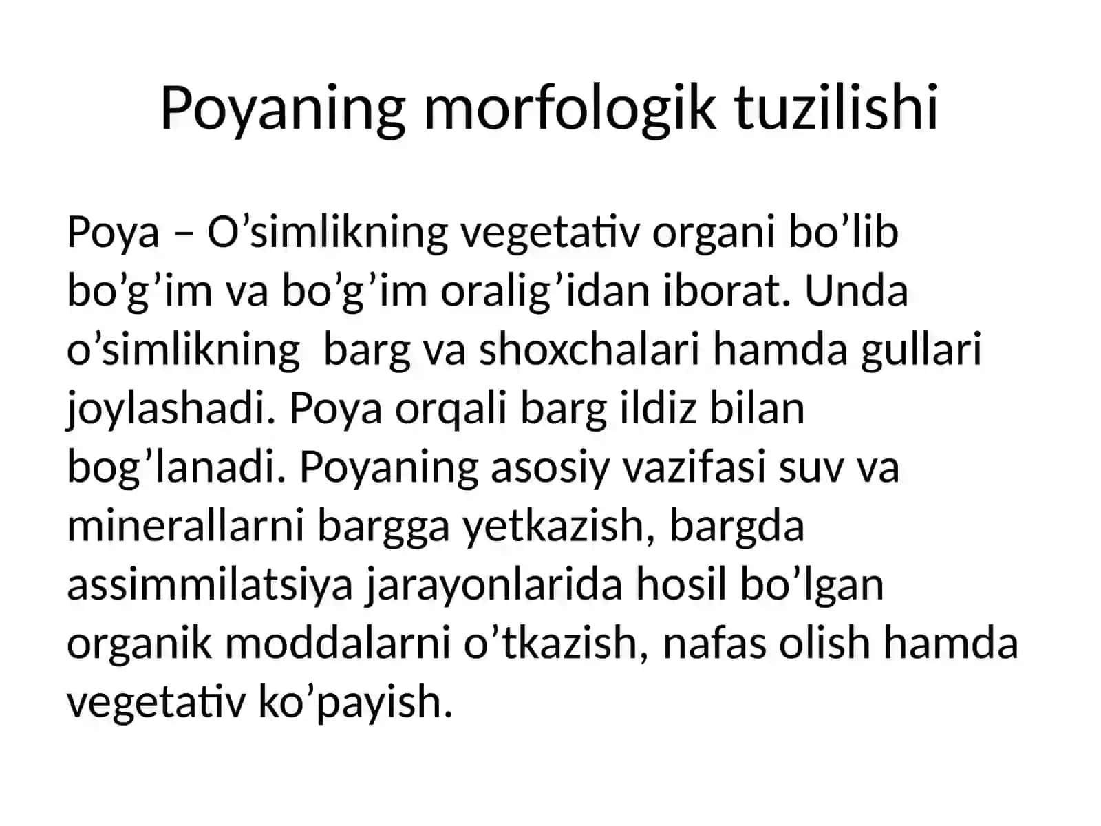 POYANING MORFOLOGIK VA ANOTOMIK TUZILISHI 2