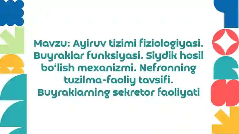 Ayiruv tizimi fiziologiyasi. Buyraklar funksiyasi. Siydik hozil bo‘lish mexanizmi. Nefronning tuzilma-faoliy tavsifi. Buyraklarning sekretor faoliyati 2