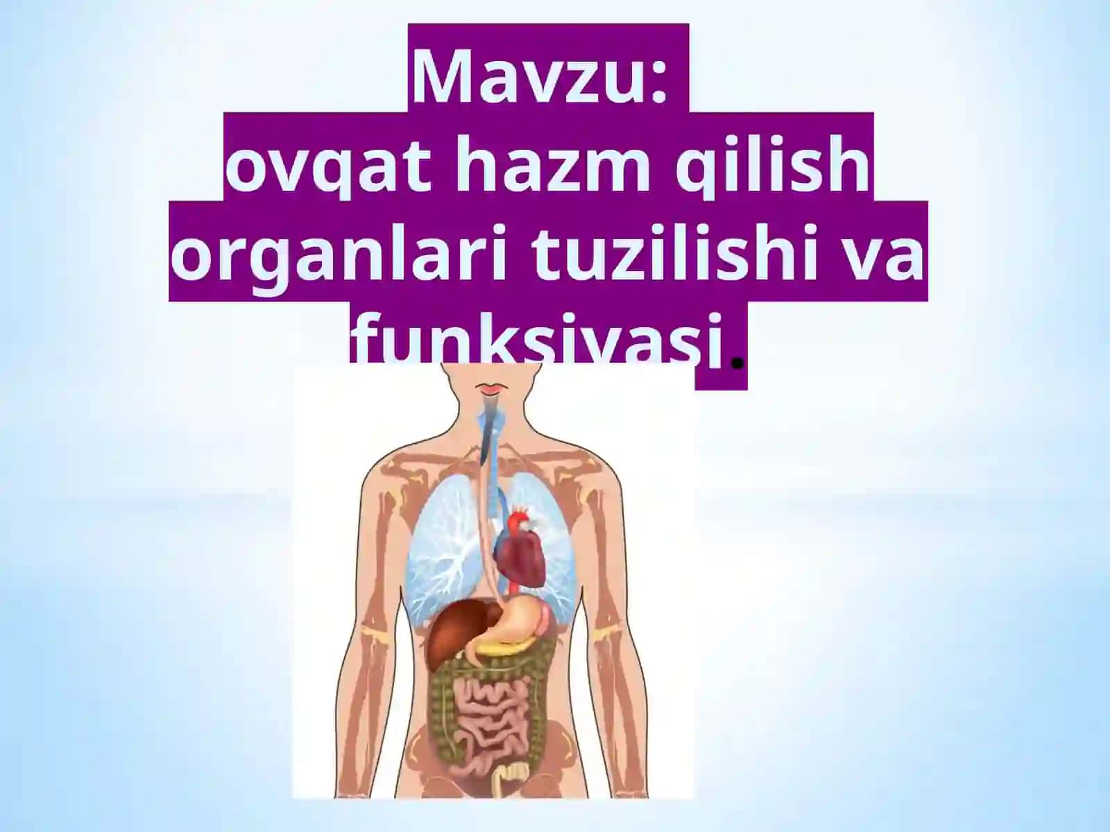 8-sinf Biologiya fanidan Ovqat hazm qilish sistemasi organlarining tuzilish va funksiyasi ochiq dars ishlanma 2