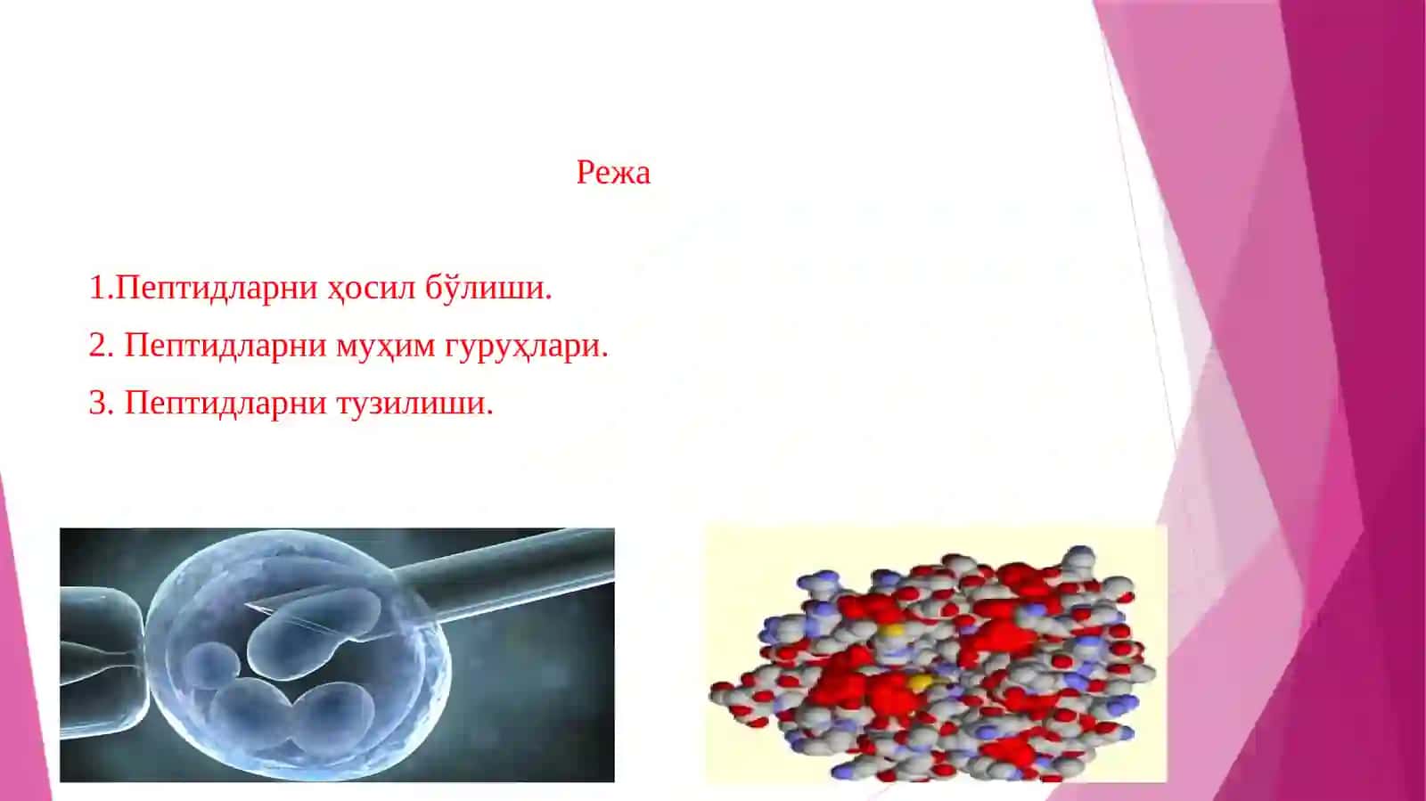 Пептидлар хақида тушунчалар ва уларнинг физиологик аҳамияти 2