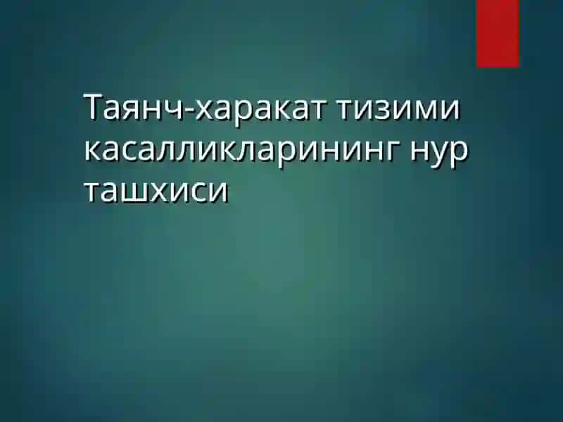 Таянч-харакат тизими 2