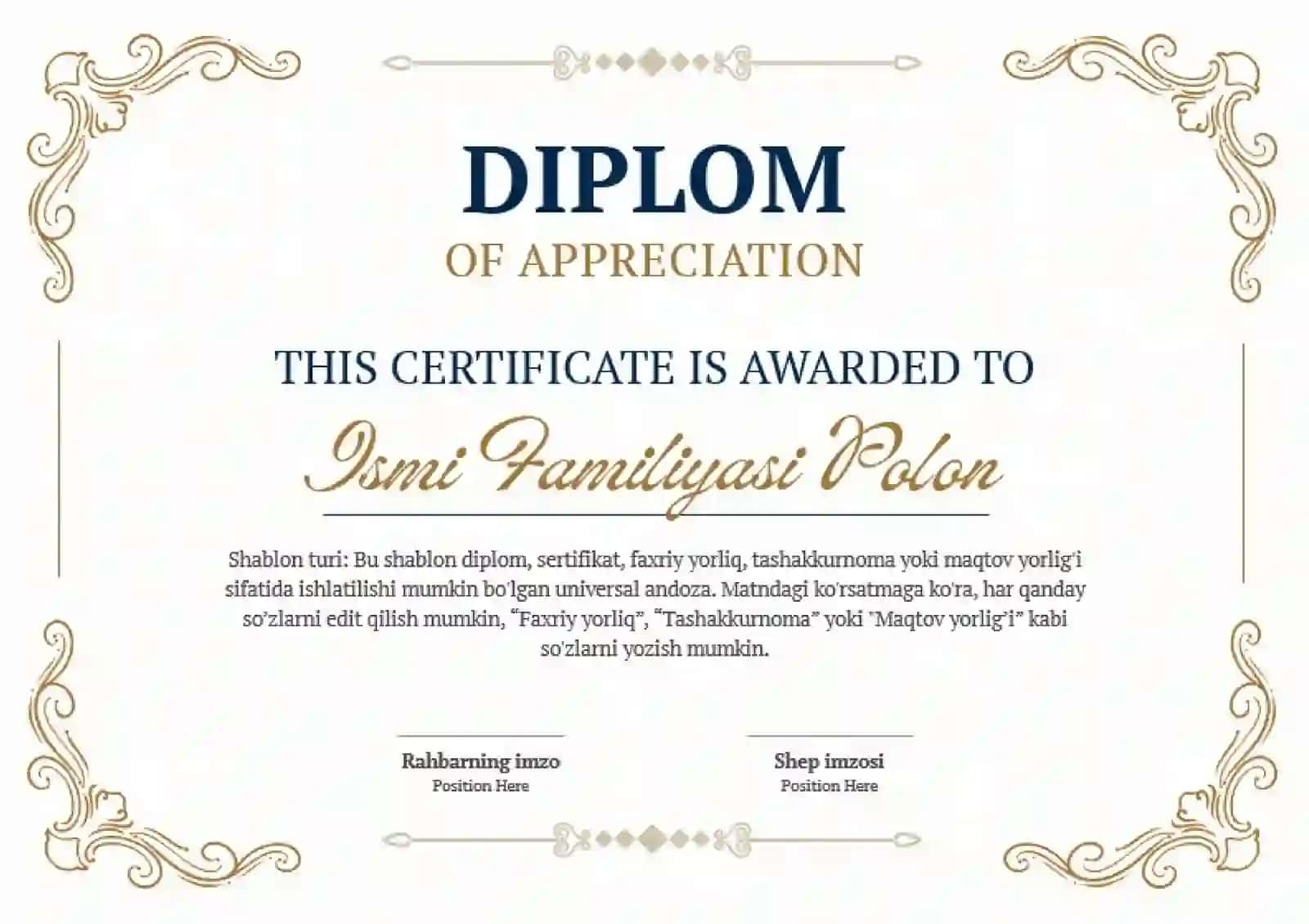 DIPLOM 2