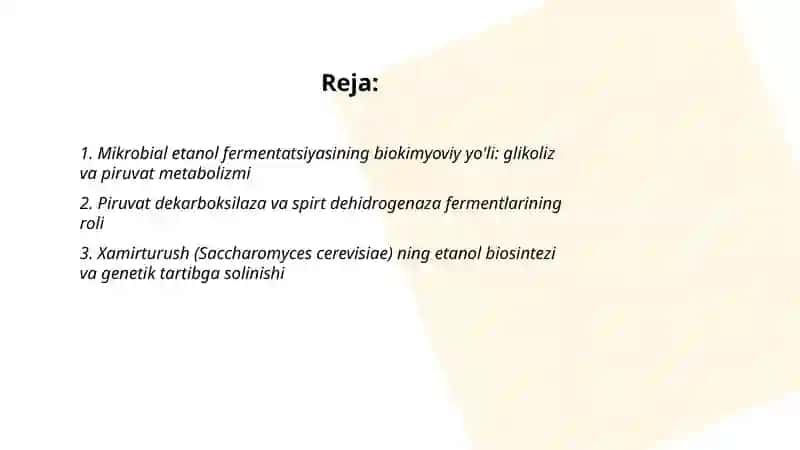 Mikrob produsentlar yordamida etanol olishning biokimyoviy asoslari 2