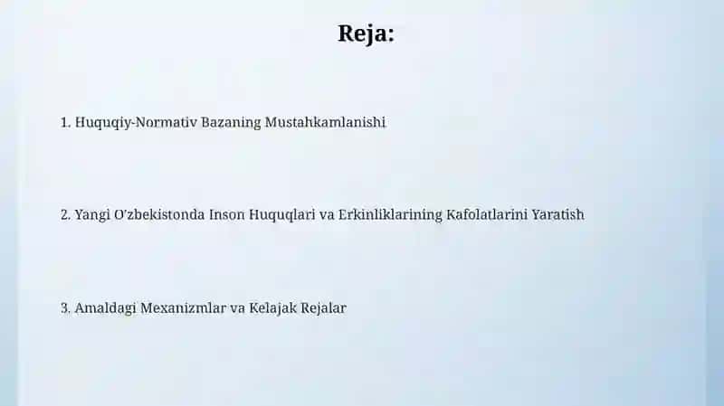 Inson Haq-huquqlari va Erkinliklari Kafolatining Yaratilishi 2