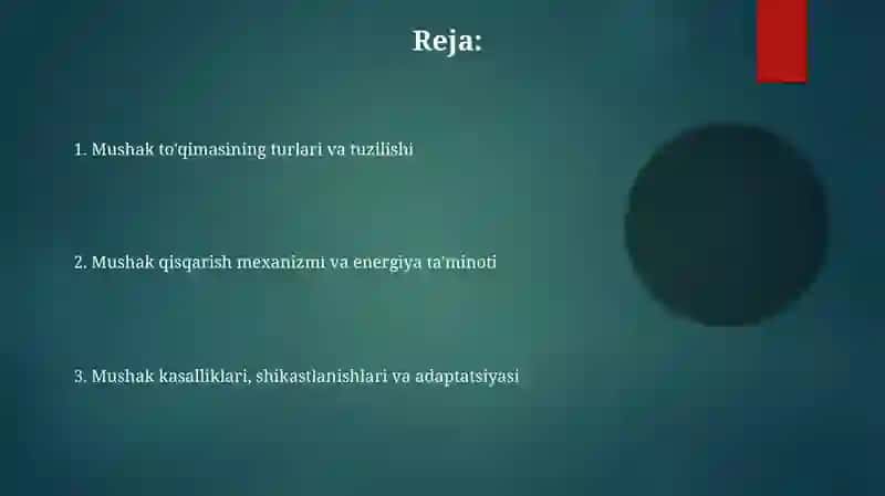Mushak to‘qimasi 2