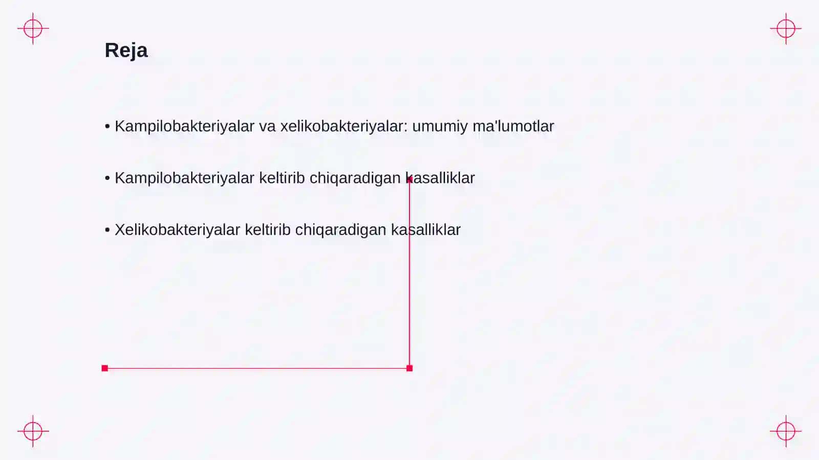 Kampilobakteriyalar va xelikobakteriyalar: umumiy ma'lumotlar 2