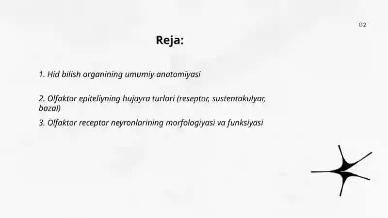 Hid bilish organining tuzilishi va uning regeneratsiya qilish hususiyatlari 2