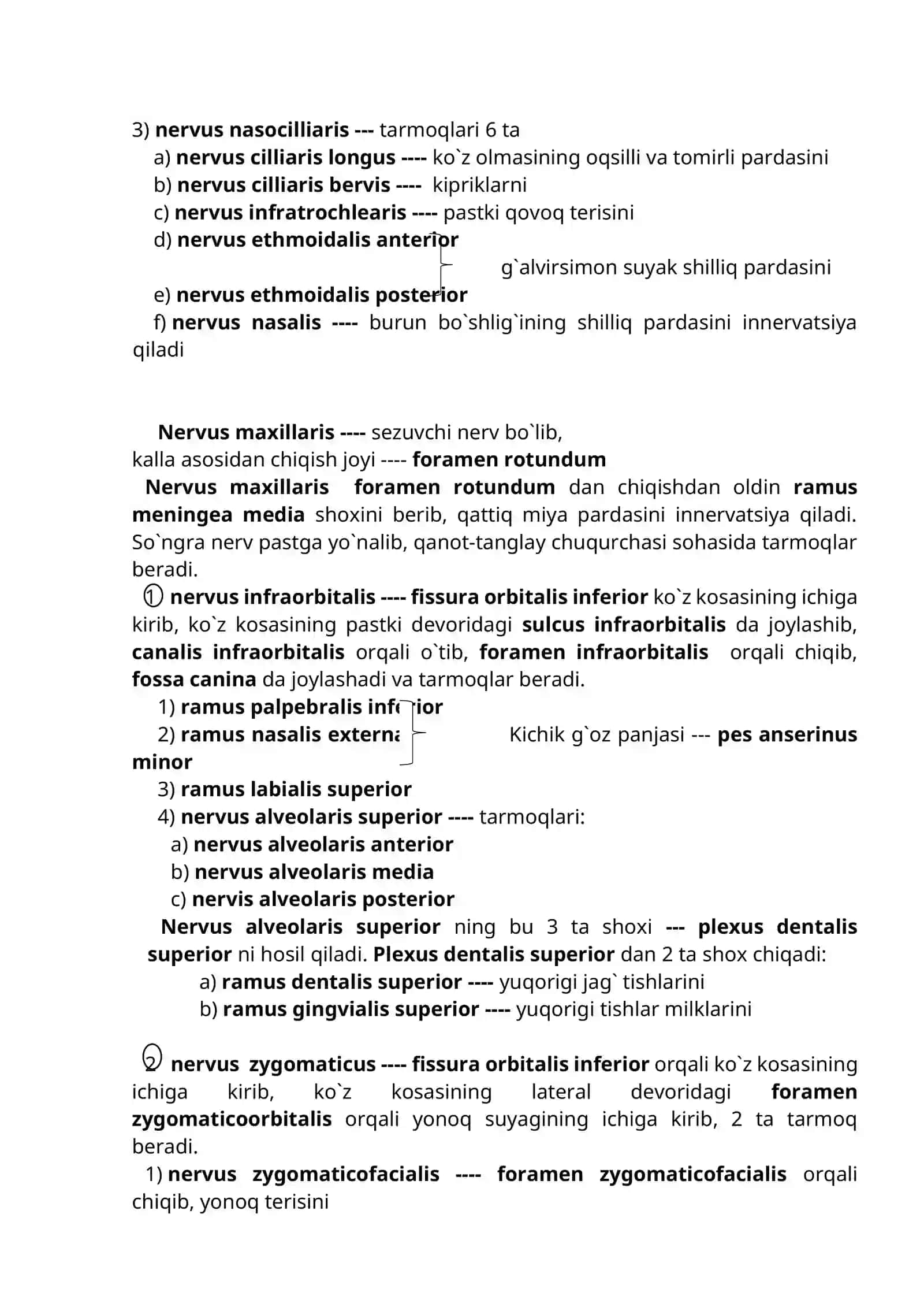 5-juft nerv ---- nervus trigeminus ----- 3 shoxli nerv 2