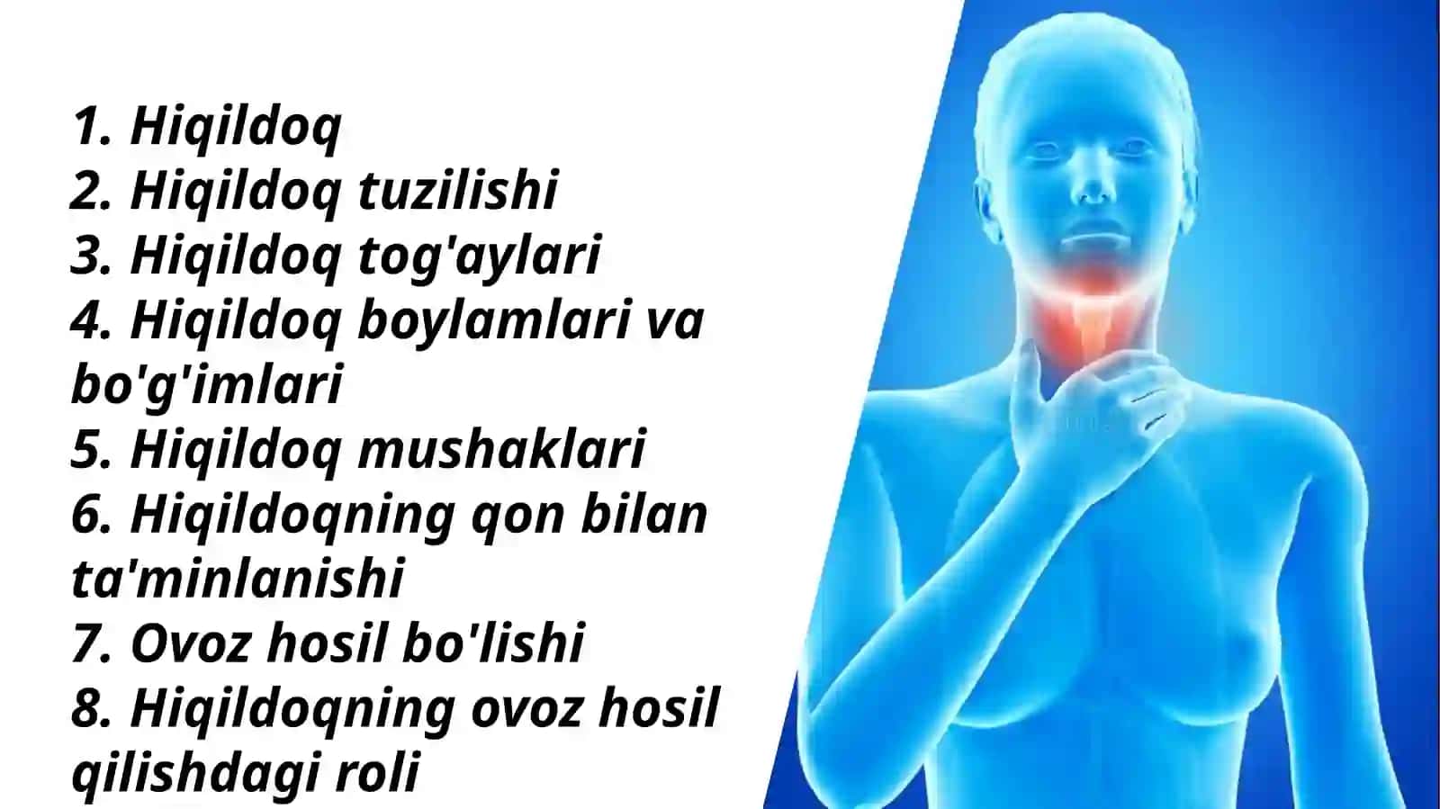 Hiqildoq tuzilishi va ovoz hosil qilish (1-qism) 2