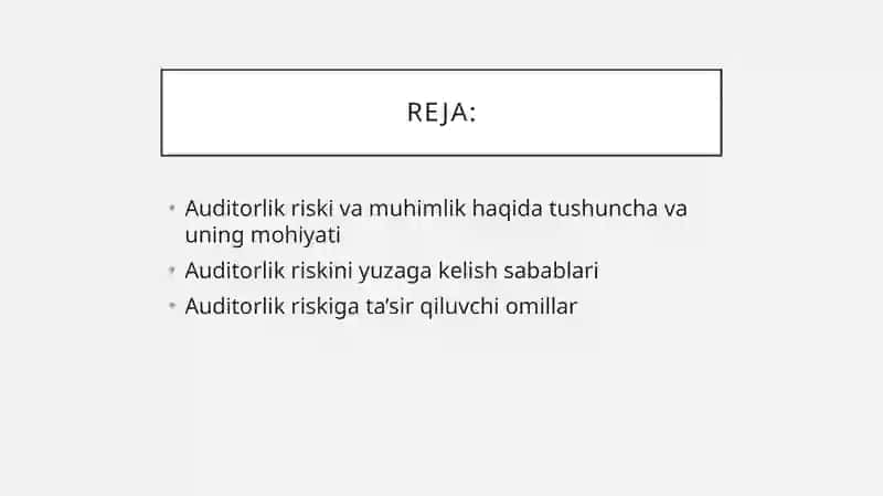 Auditorlik riski 2