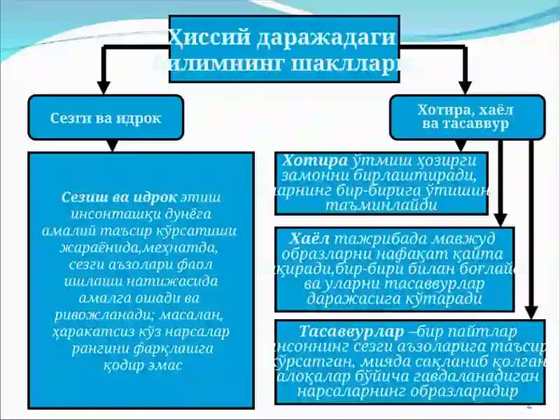Сезиш ва идрок 2