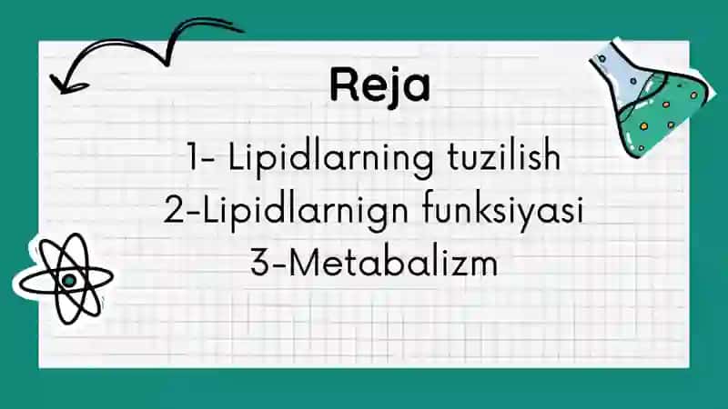 Lipidlarning tuzilishi, funksiyasi va metabolizmi 2