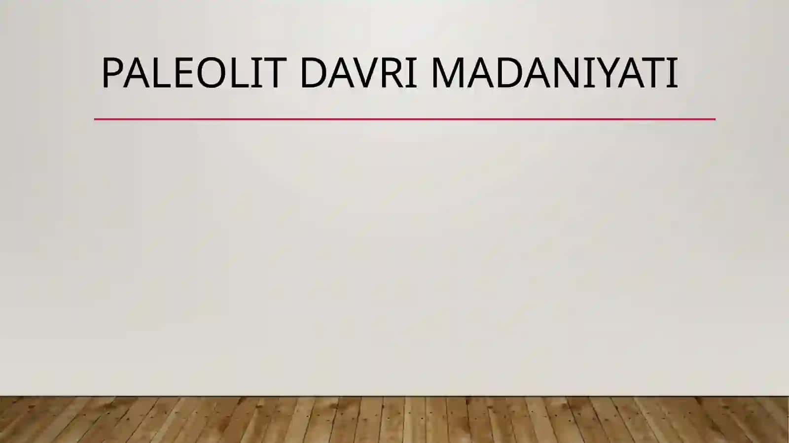 PALEOLIT DAVRI MADANIYATI 2