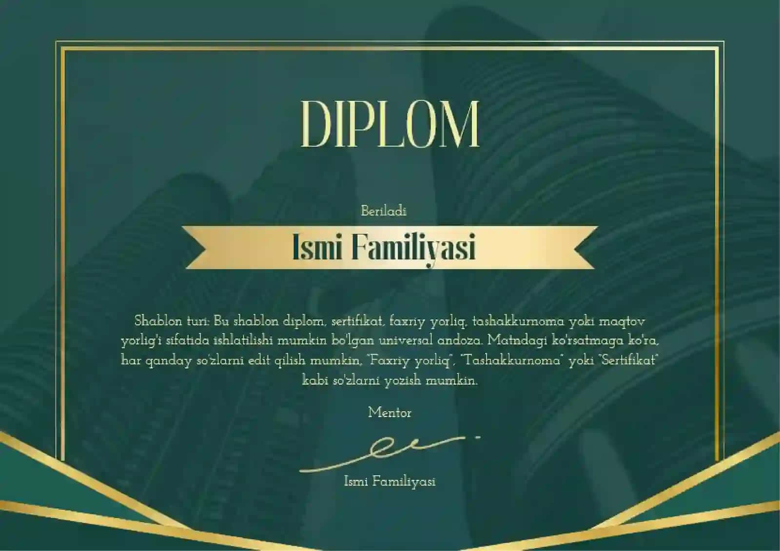 DIPLOM 2