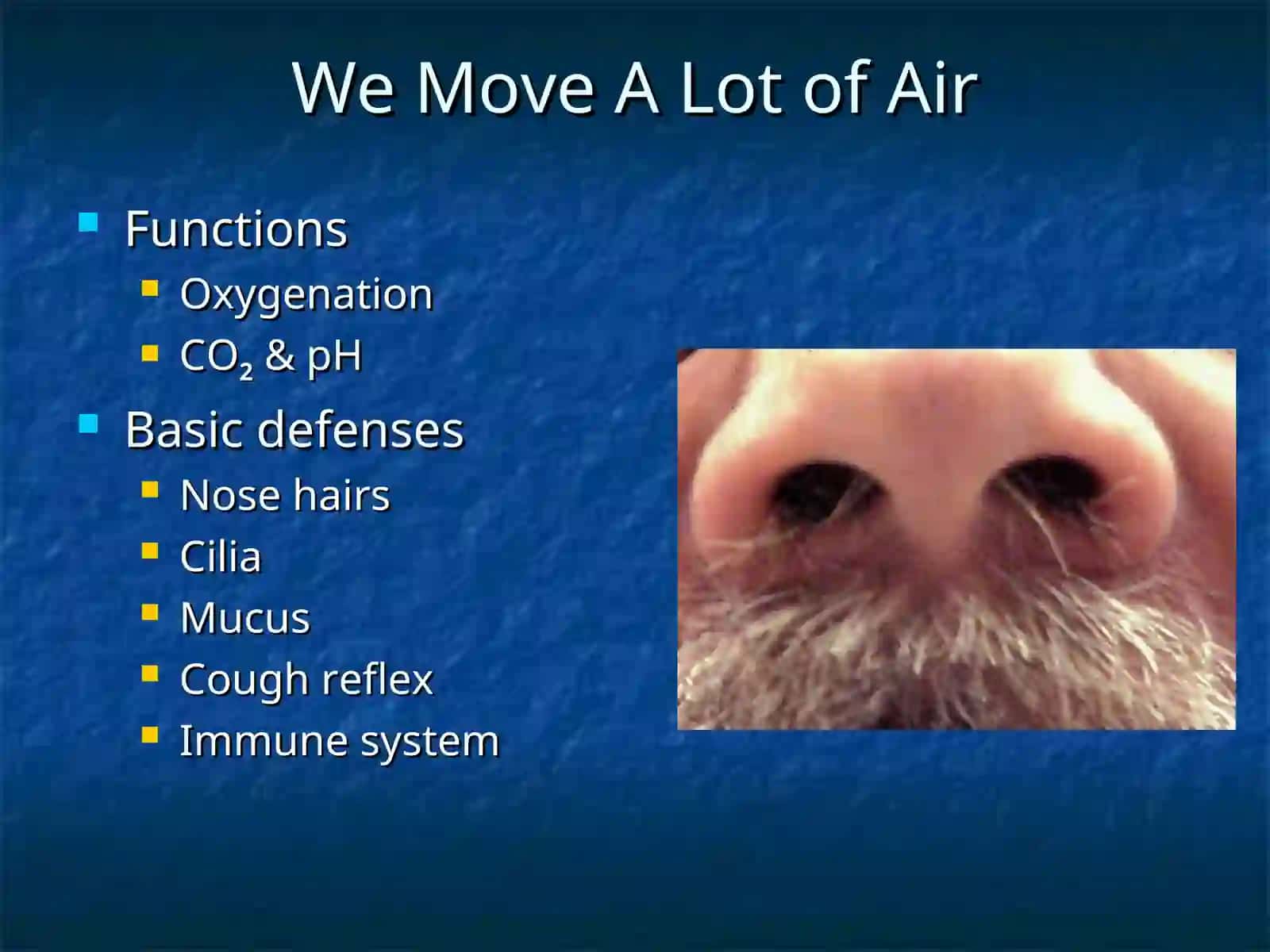 Pulmonary Diseases 2