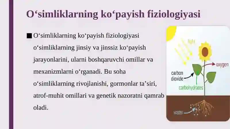 Oʻsimliklardagi tinim holati, O‘simliklarning ikkilamchi metabolizmi, Alkaloidlar, Sabzavot va poliz 2