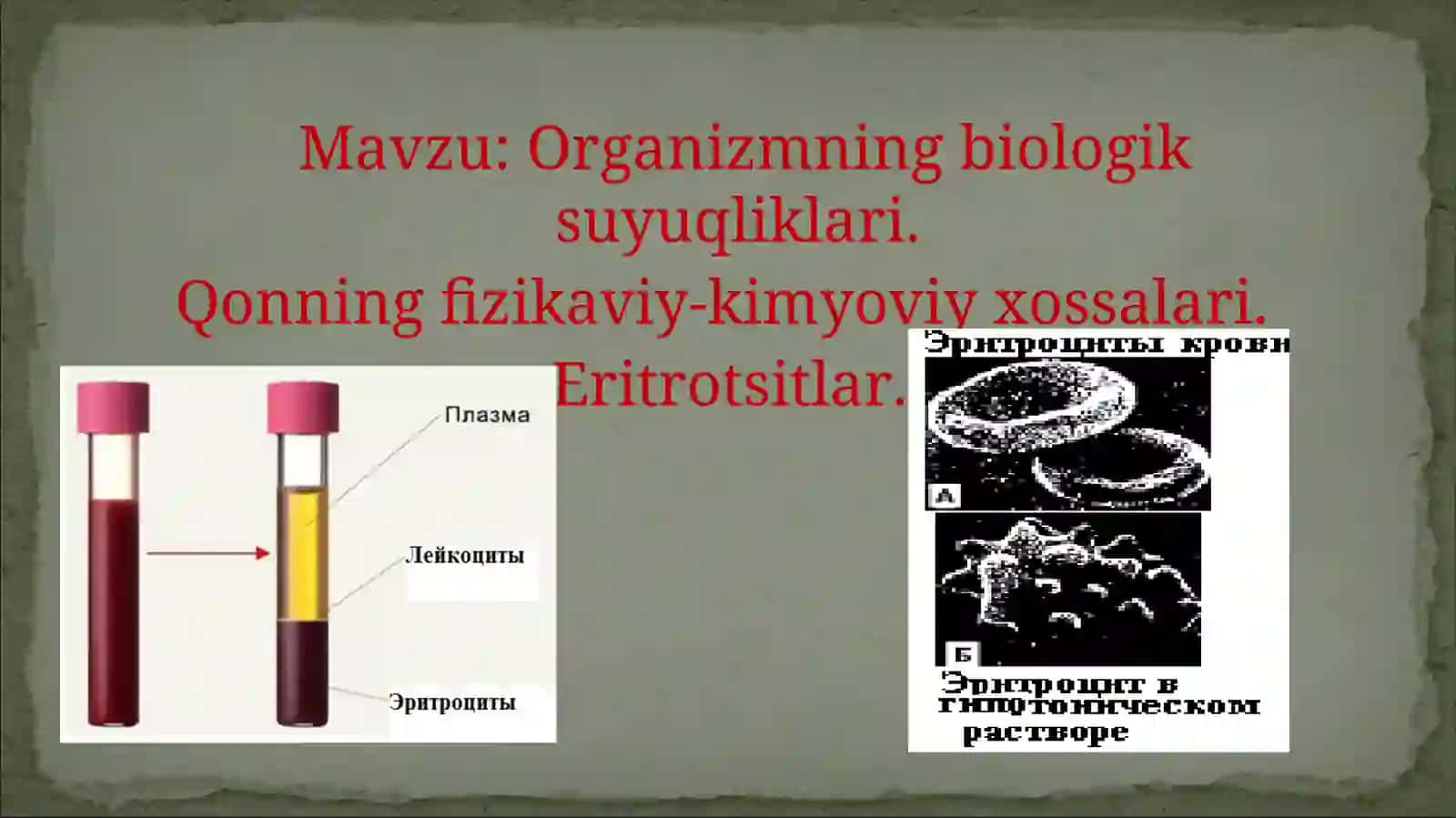Organizmning biologik suyuqliklari 2