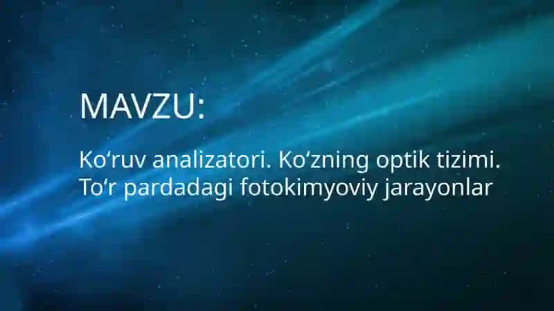 Ko'ruv analizatori 2