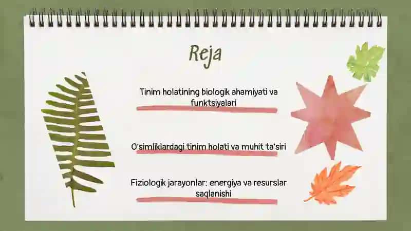 O'simliklarning tinim holatining fiziologik asoslari 2