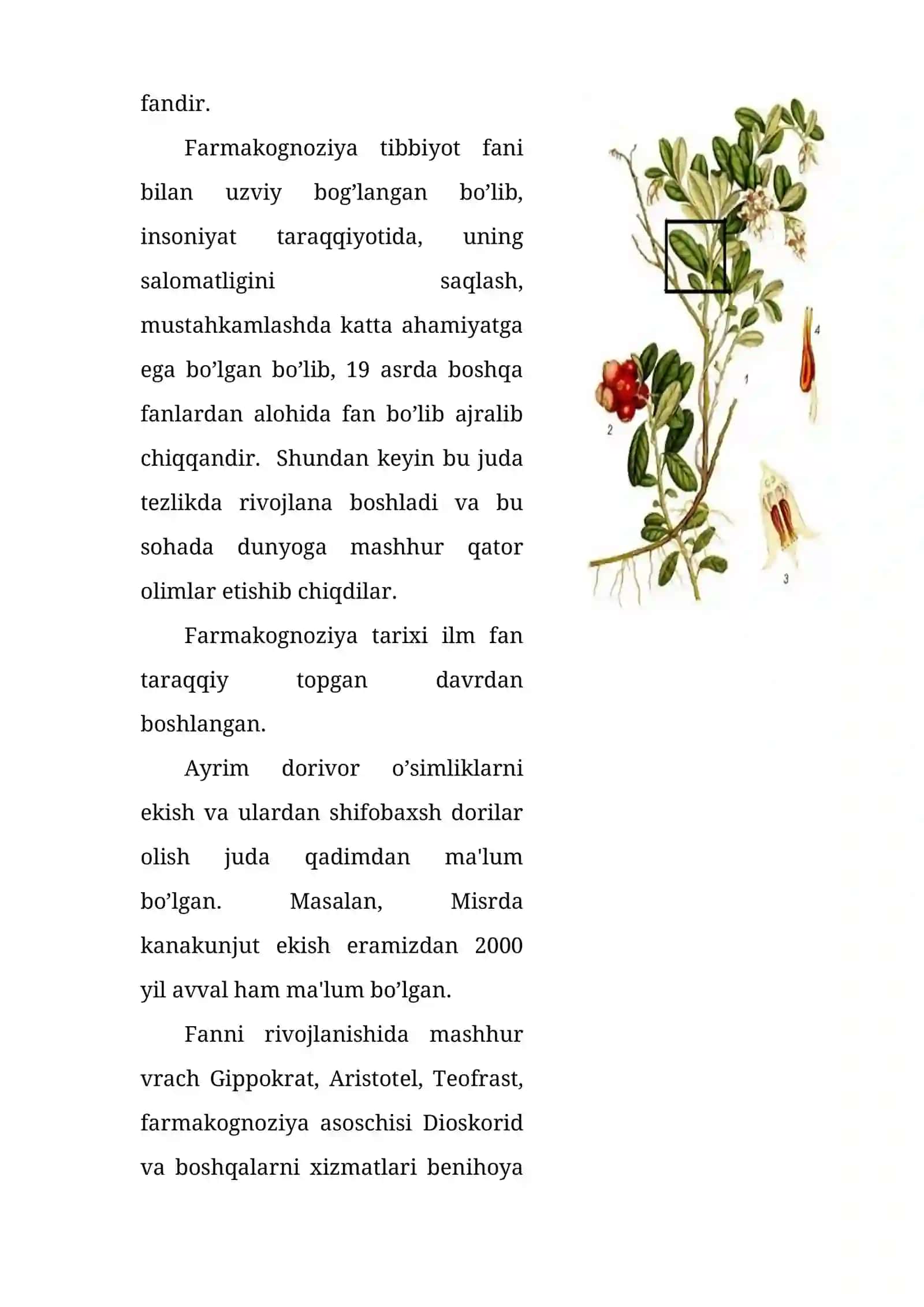 Farmakognoziya fanining asoslarini o'rganish 2