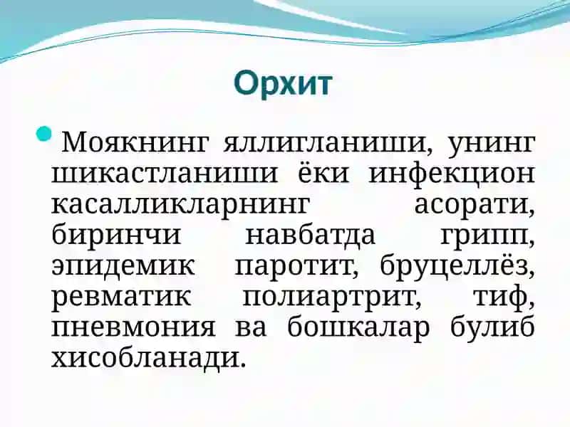 Орхит 2