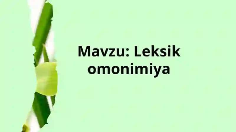 Leksik  omonimiya 2