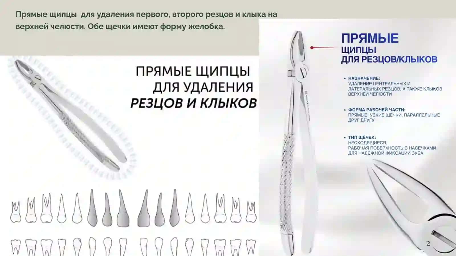 ИНСТРУМЕНТЫ ДЛЯ УДАЛЕНИЯ ЗУБОВ ВЕРХНЕЙ И НИЖНЕЙ ЧЕЛЮСТИ 2