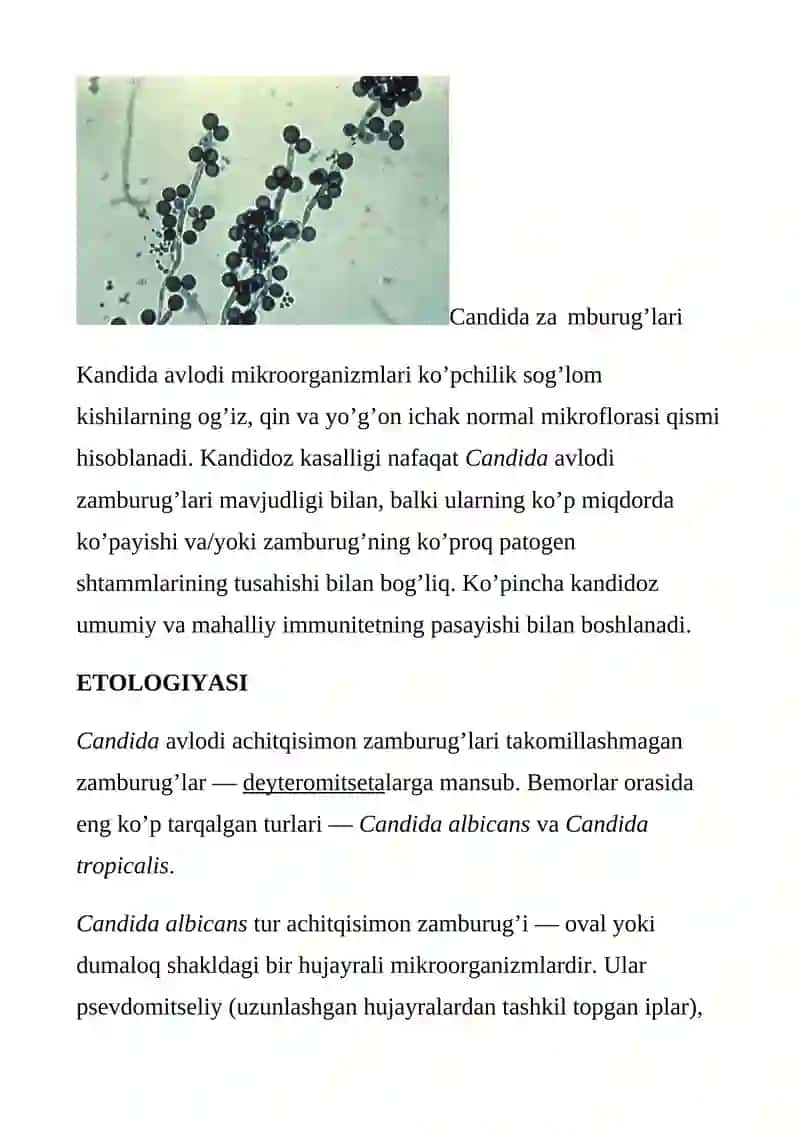 Kandidoz (Molochnitsa) 2