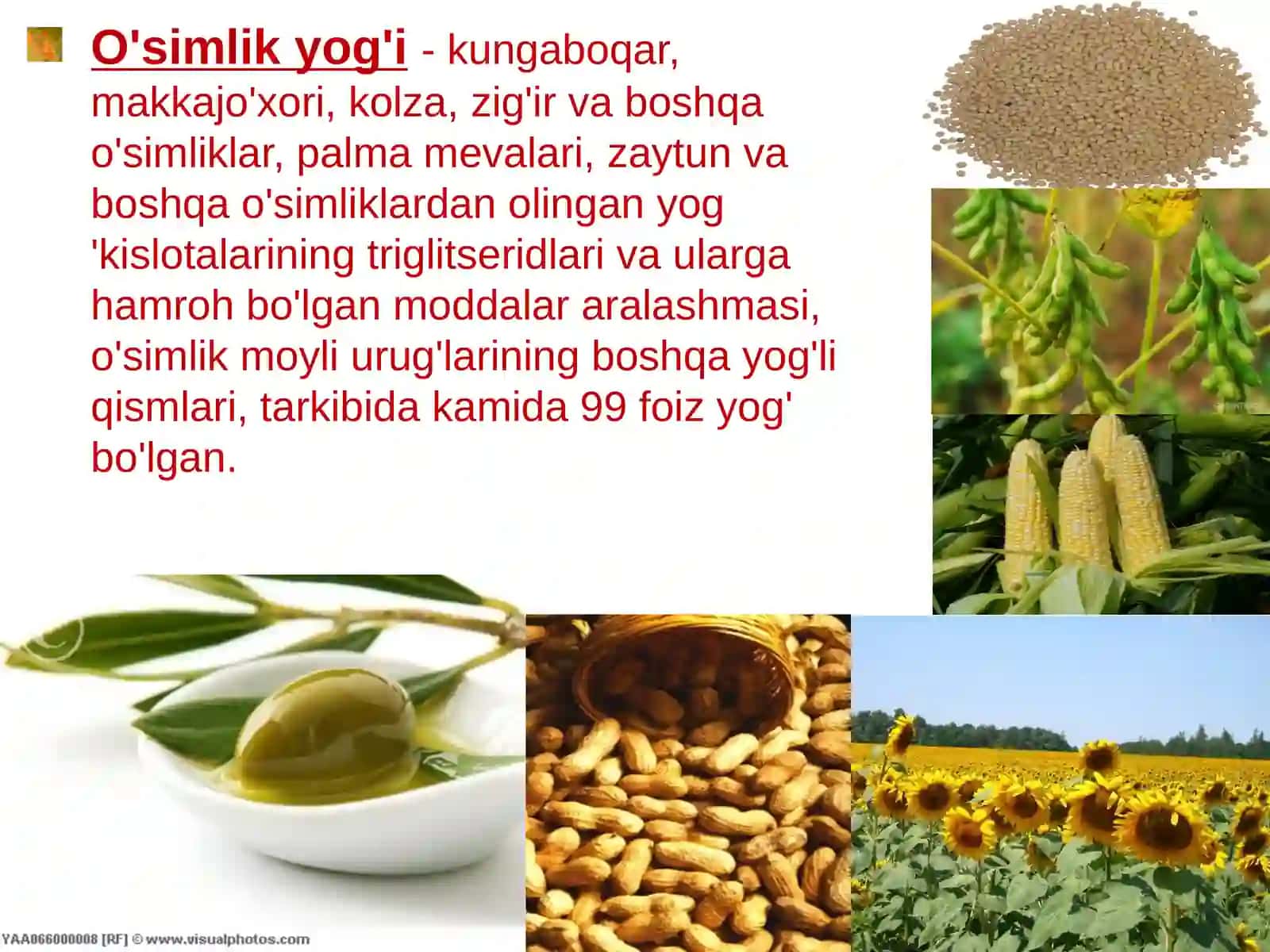 Yog'lar 2