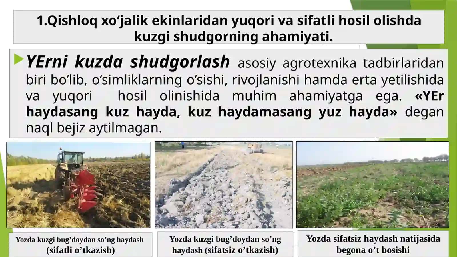 Kuzgi shudgor 2