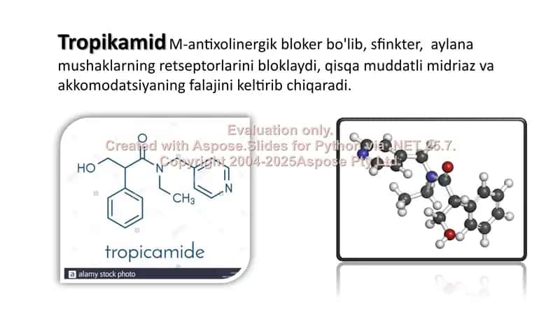 Tropikamid 2
