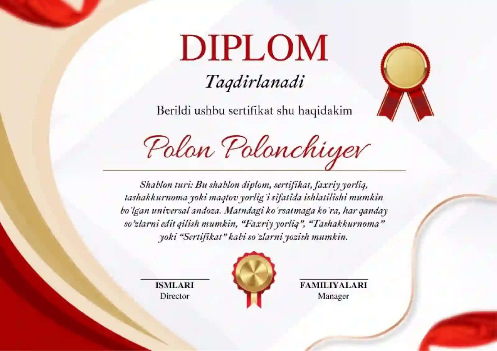 DIPLOM 2