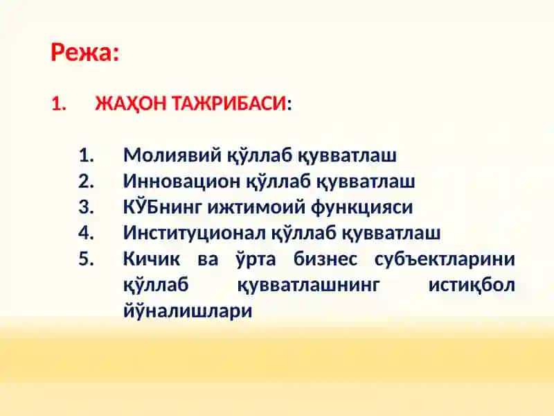 Кичик бизнес тадбиркорликни ривожлантиришнинг жаҳон тажрибаси 2