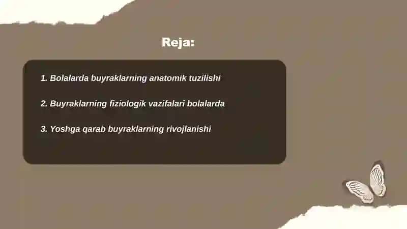 Bolalarda buyraklar anatomik fiziologik xususiyatlari 2