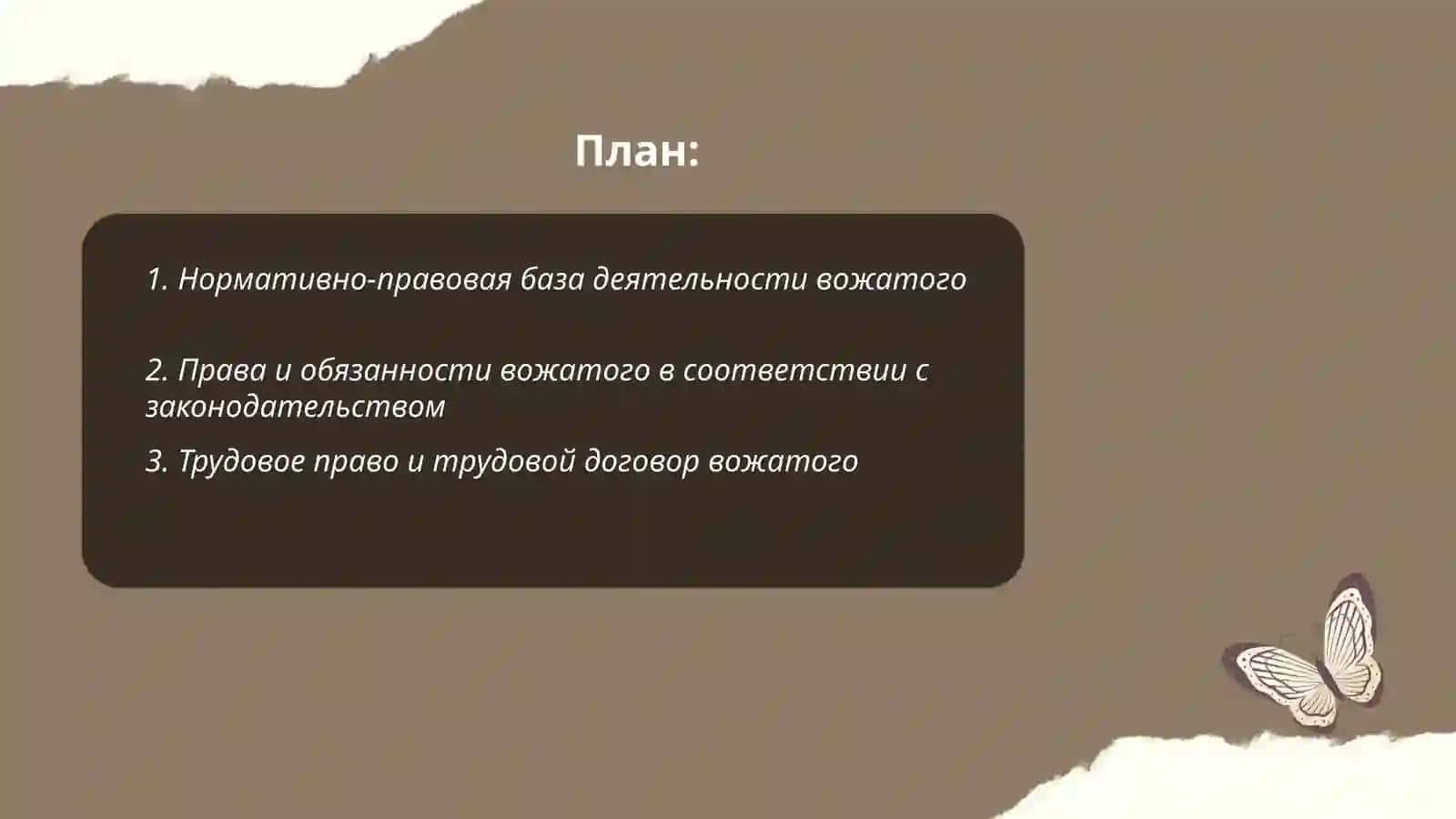 Нормативно-праровые основы деятельности вожатого 2