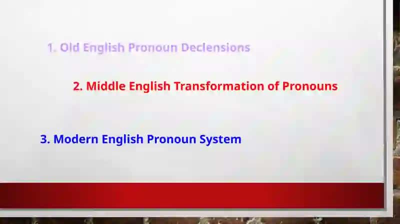 The Historical Development of Pronoun Declensions 2