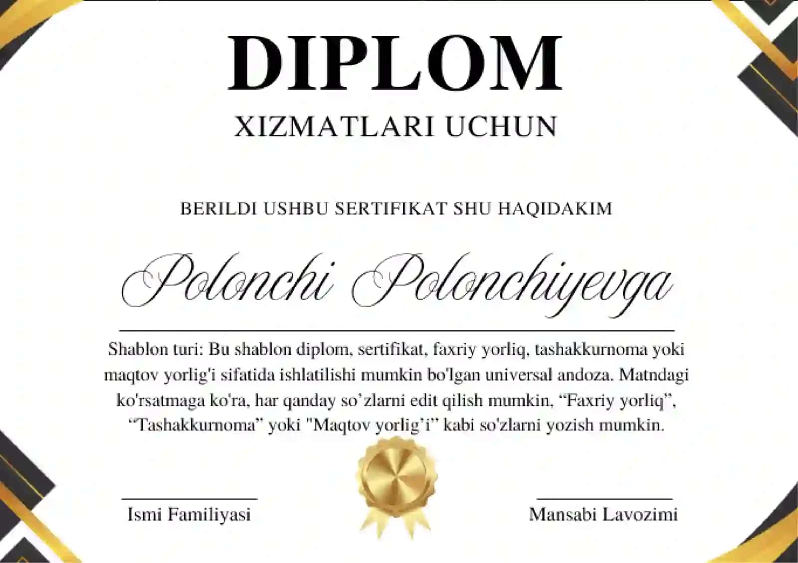 DIPLOM 2