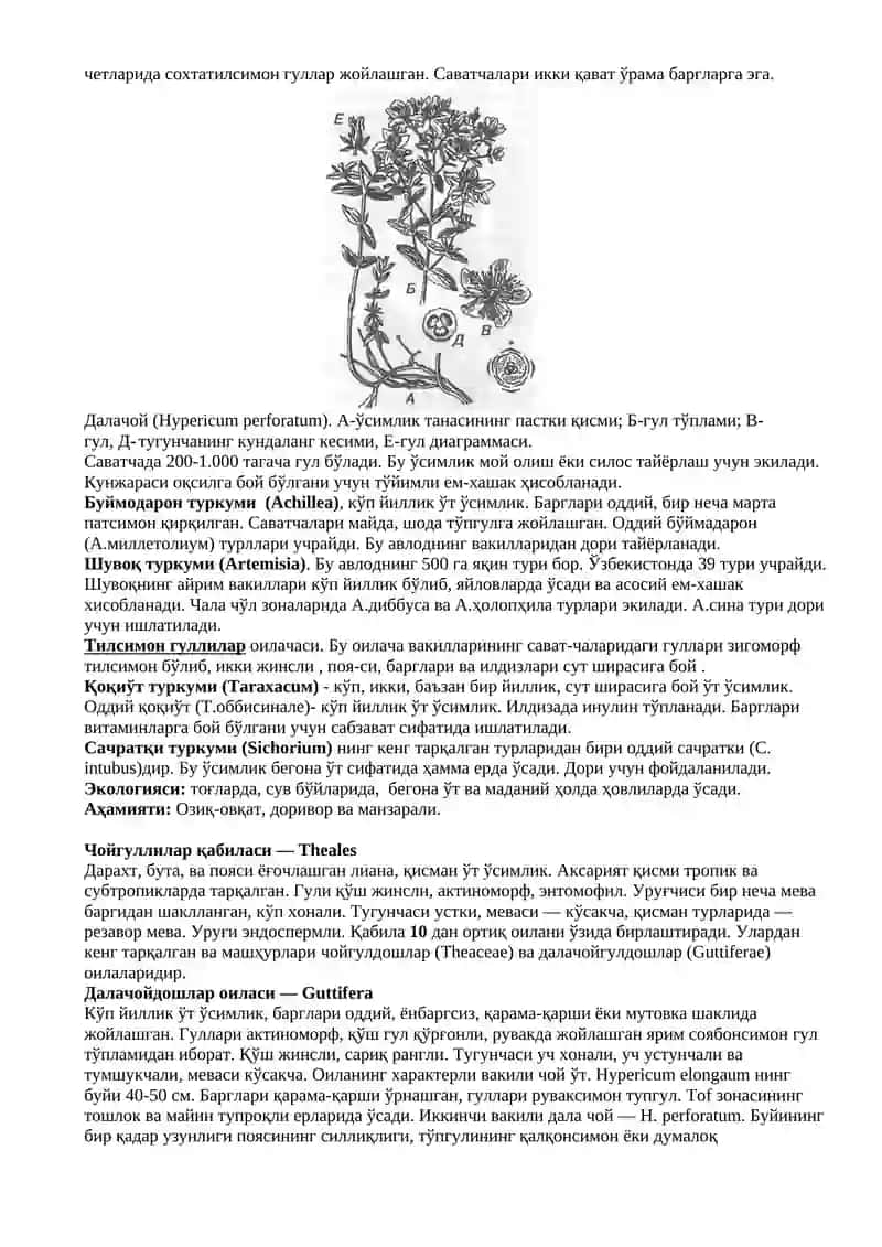 Қоқиўтдошлар (Asteraceae) 2