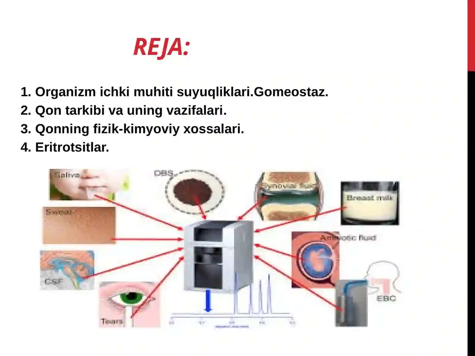 Fiziologiyakafedrasi 2