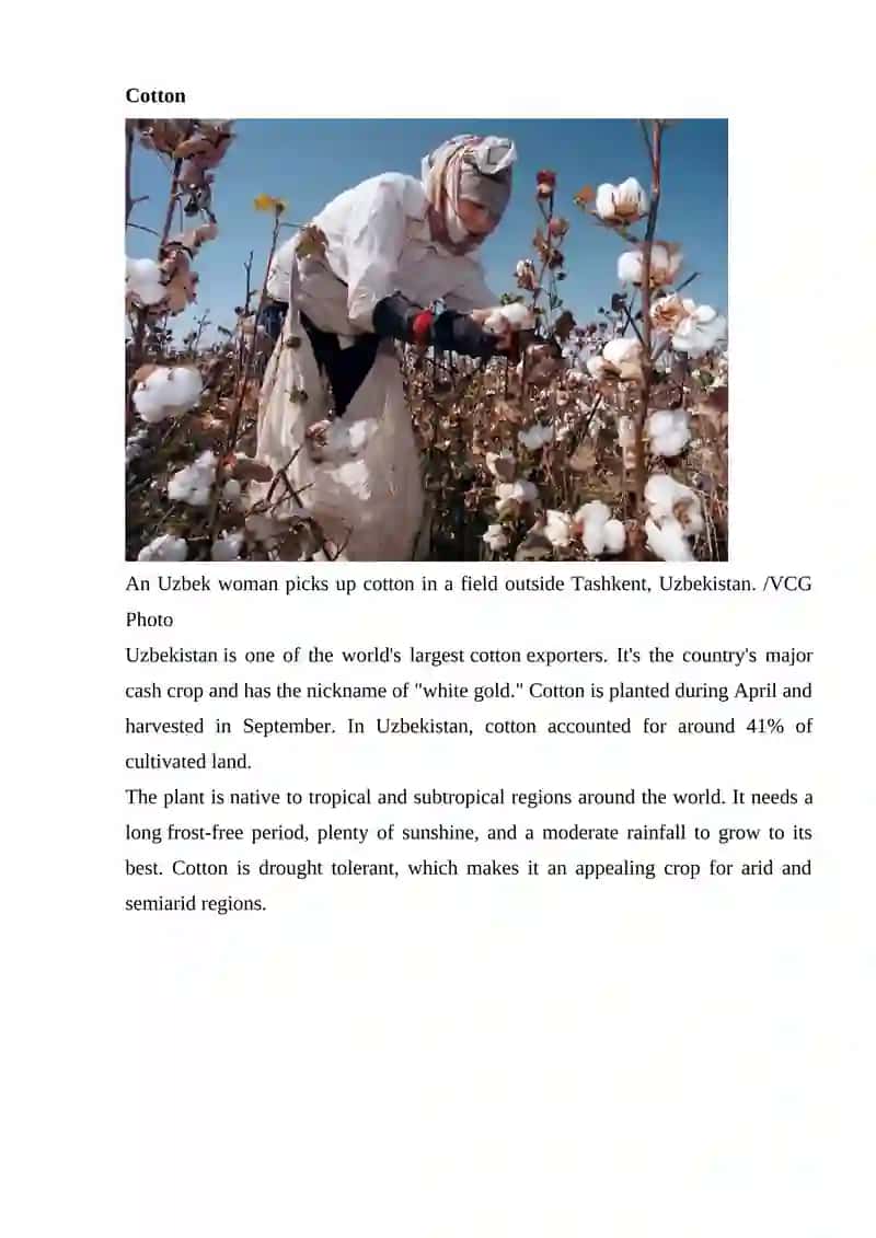 Cotton 2
