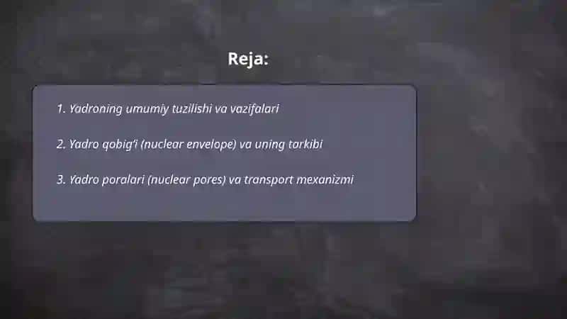 Yadroning tuzilishi va uning vazifasi 2