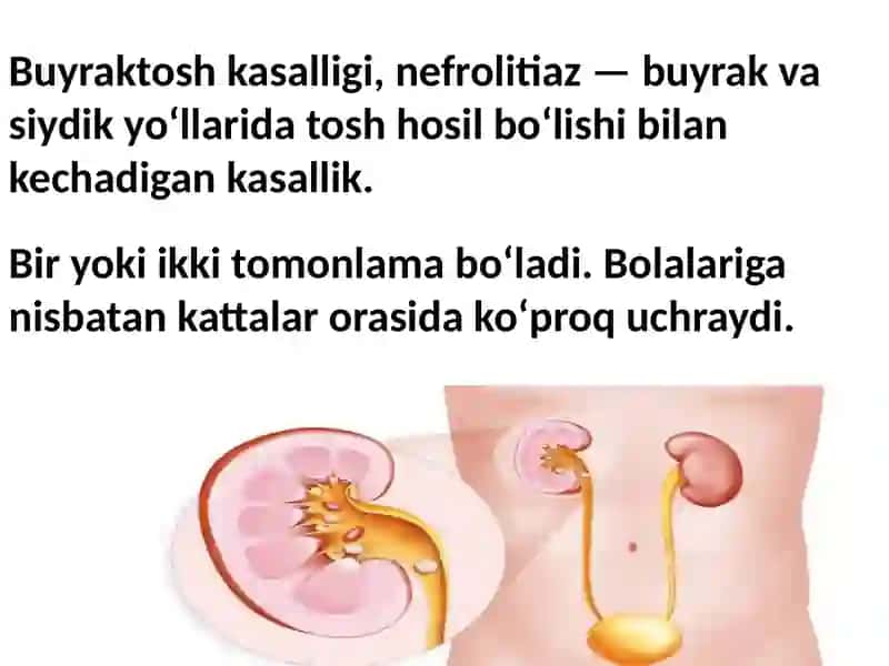 Buyuktoshkasaligi 2